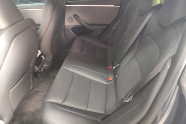 Used Tesla Model 3 2023 Rear-Wheel-Drive Version