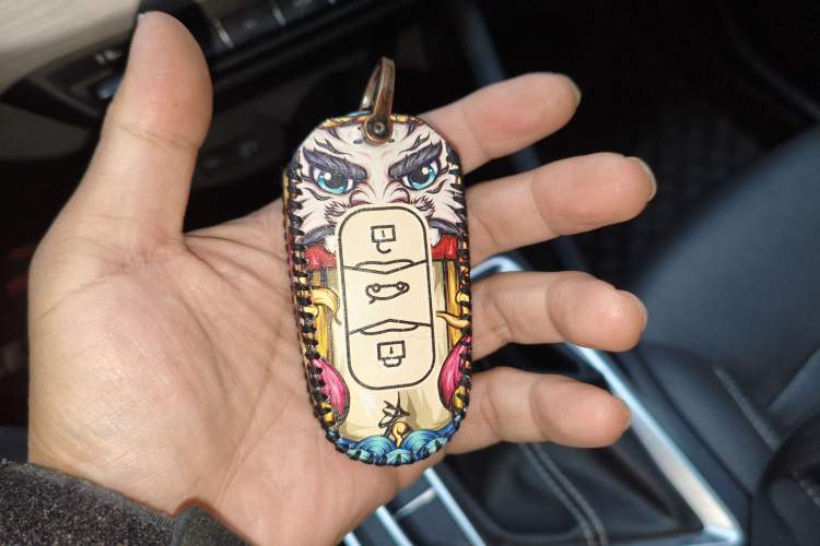 Used Geely Auto Vision X3 2020 1.5L CVT Luxury Model