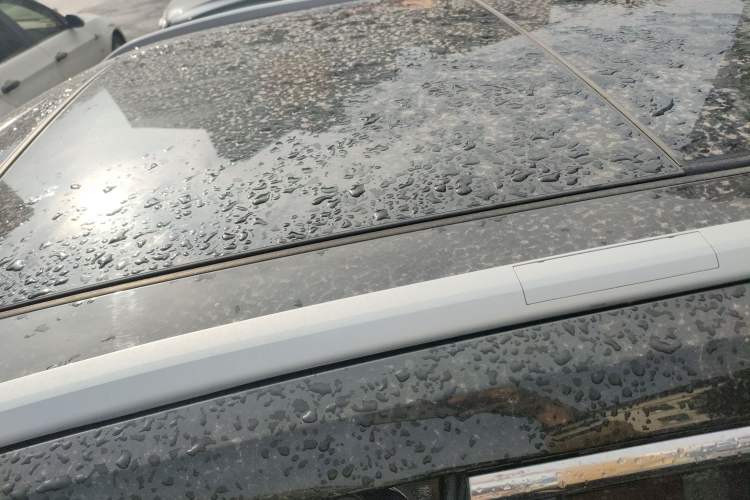 Used Haval F7 2019 2.0T Four-Wheel Drive iJoy China VI Standard
