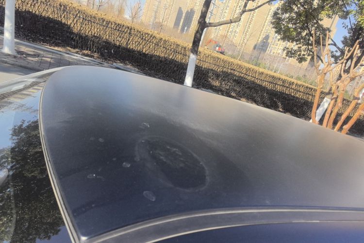 Used  Lumin 2023 301km Honey Dew Edition
