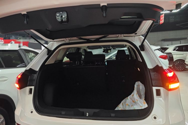 Used Haval H6 2020 1.5 GDIT Automatic Platinum Champion Edition
