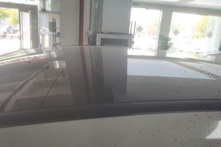 Used Mercedes-Benz C-Class 2022 C 260 L Sport Edition
