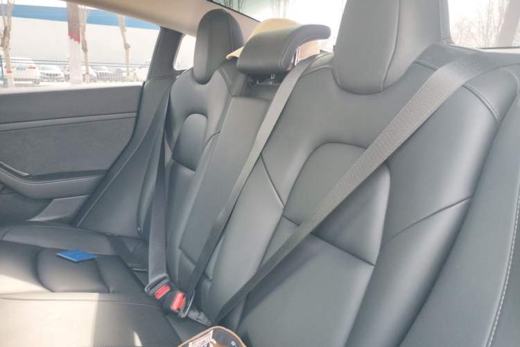 Used Tesla Model 3 2022 Rear-Wheel-Drive Version