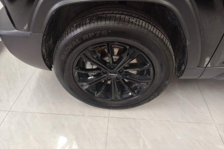 Used Haval Raptor New Energy 2024 Hi4 102 Pro
