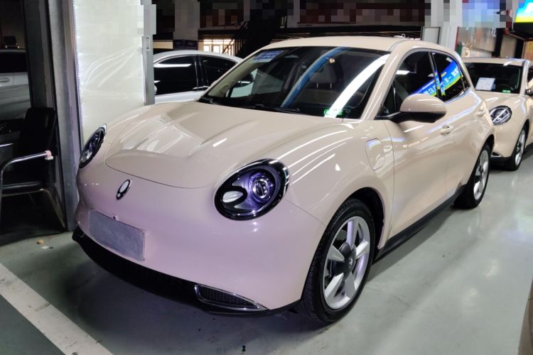 Used ORA Good Cat 2022 400km Standard Range Luxury Version Lithium Iron Phosphate
