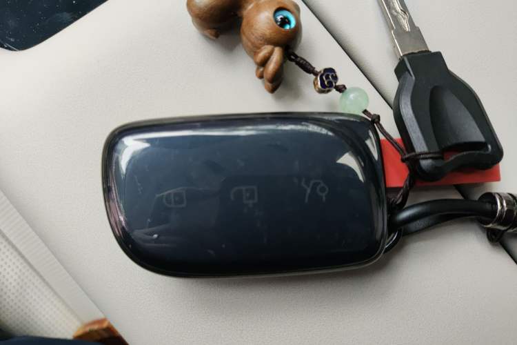 Used Lynk & Co 900 2025 2.0T Ultra