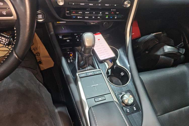 Used Lexus RX 2020 Revised Version 300 Two-Wheel Drive Comfort Edition
