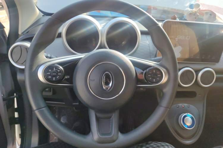 Used ORA Black Cat 2019 310km Fun Edition