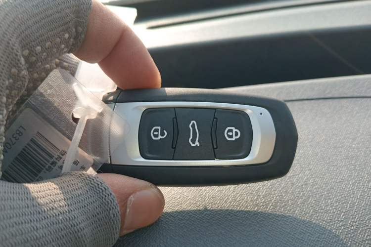 Used  Panda 2025 210 km – Yuanqi Bear
