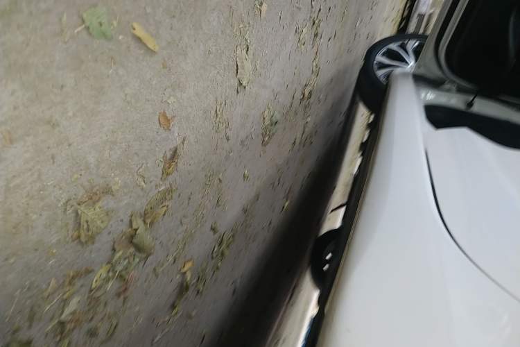 Used Changan Eado 2021 PLUS Blue Whale NE 1.4T GDI DCT Flagship Model