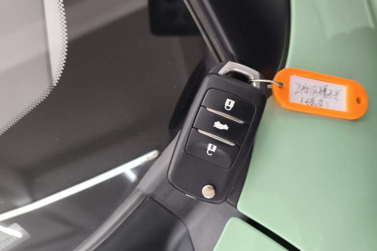 Used Qiyuan Lumin 2023 205km Xiangqin Version
