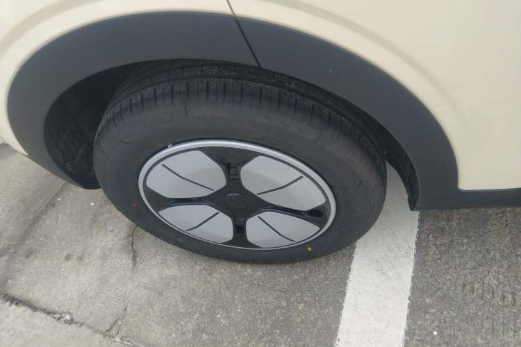 Used  Geome 2025 310km Youth Edition
