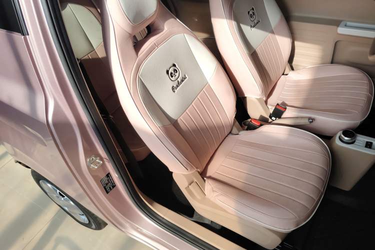 Used  Panda 2023 Panda Mini 200km Endurance Bear
