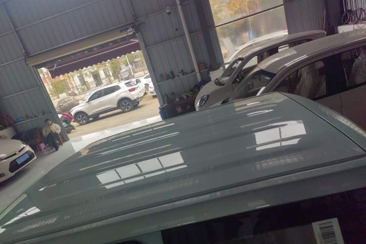 Used  Panda 2024 Panda Mini 200km Endurance Bear