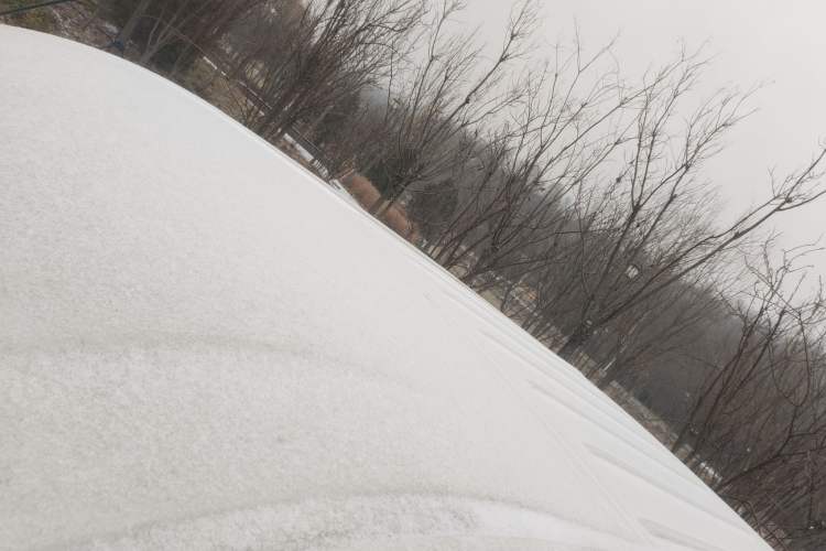 Used Foton Toano 2023 2.0T Automatic Urban Edition Short Wheelbase Mid-Height Rear Single Tire 3 Seats
