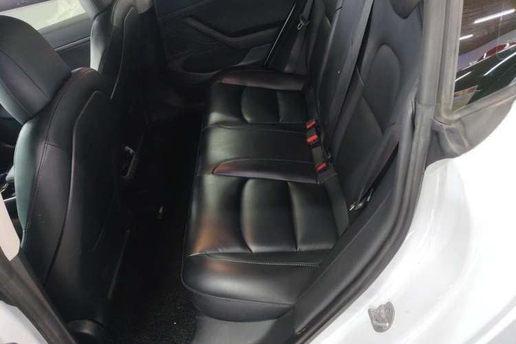 Used Tesla Model 3 2020 Standard Range Rear-Wheel Drive Upgraded Version
