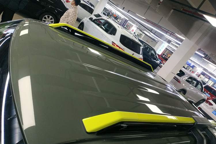 Used  Panda 2024 200km Panda Rider
