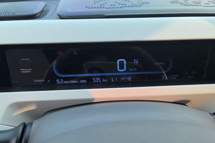 Used  Panda 2025 210 km – Yuanqi Bear