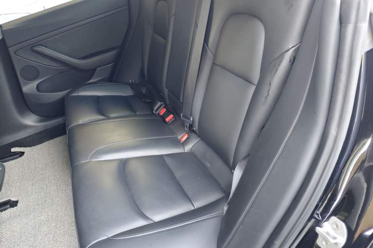 Used Tesla Model 3 2021 Standard Range Rear-Drive Upgraded Version
