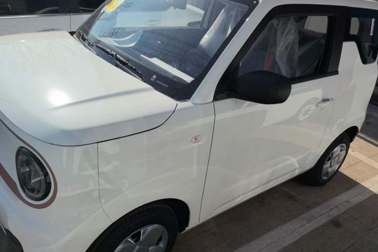 Used  Panda 2024 Panda Mini 200km Endurance Bear
