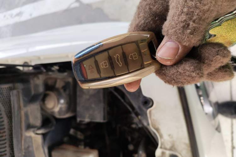 Used ORA Black Cat 2022 301km Base Version Ternary Lithium
