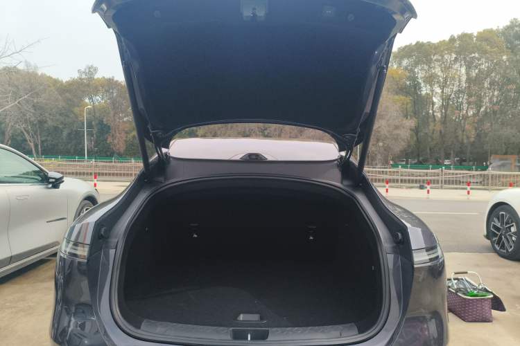 Used  06 2025 Ultra Pure Electric Edition