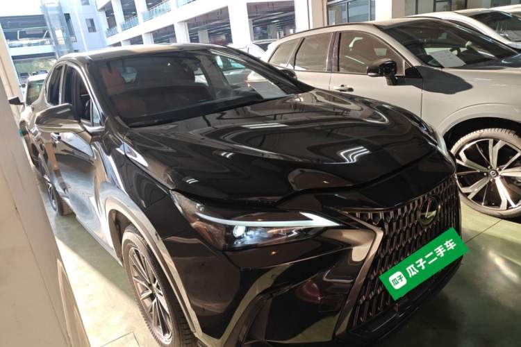 Used Lexus NX 2023 260 Front-Wheel Drive Chuanchi Edition

