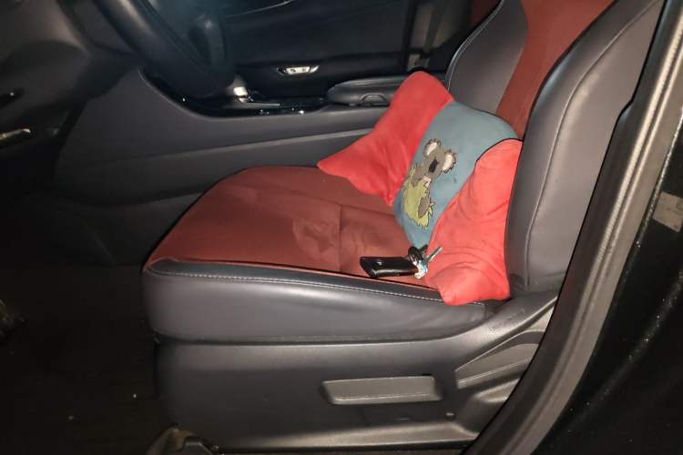 Used Lexus NX 2023 350h Front-Wheel-Drive Xinchichi Version
