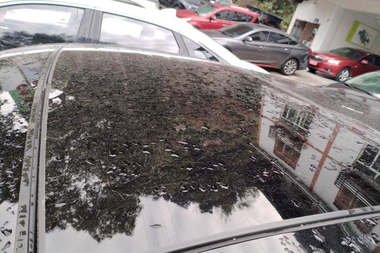 Used Nissan Teana 2021 2.0L XL Comfort Edition
