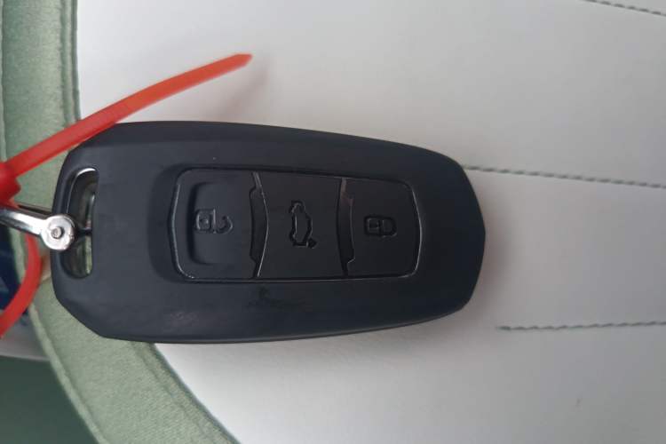 Used  Panda 2025 210km Panda Rider