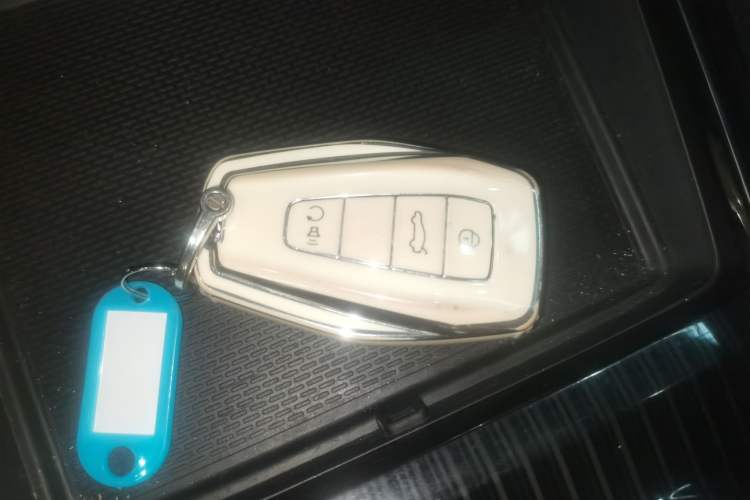 Used Geely Auto Monjaro L 2021 2.0TD DCT EVO Two-Wheel Drive Prestige Version
