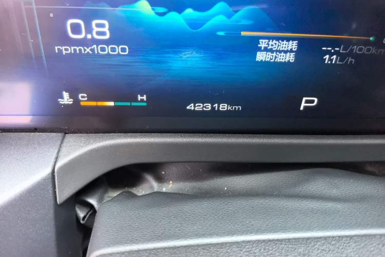 Used Tank 300 2021 City Edition 2.0T—Truly Stylish
