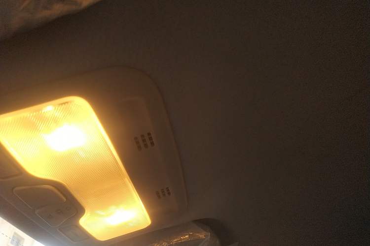 Used SOL E10X 2022 Flower Fairy Design Four-Leaf Clover