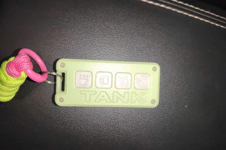 Used Tank 300 2021 City Edition 2.0T—Truly Stylish
