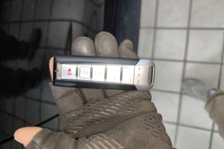 Used Tank 300 2021 Off-Road Edition 2.0T Conqueror
