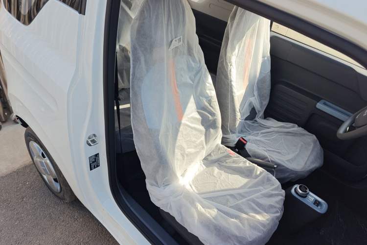 Used  Panda 2024 Panda Mini 200km Endurance Bear