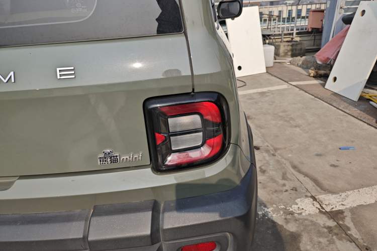 Used  Panda 2024 200km Panda Rider
