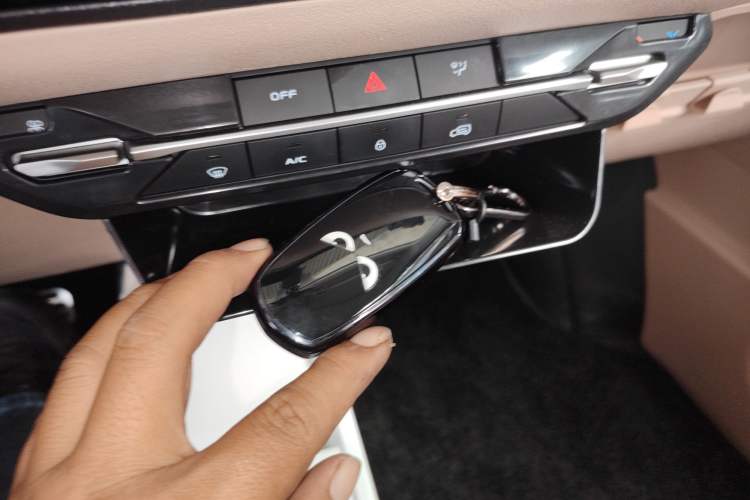 Used  Panda 2023 Panda Mini 200km Endurance Bear