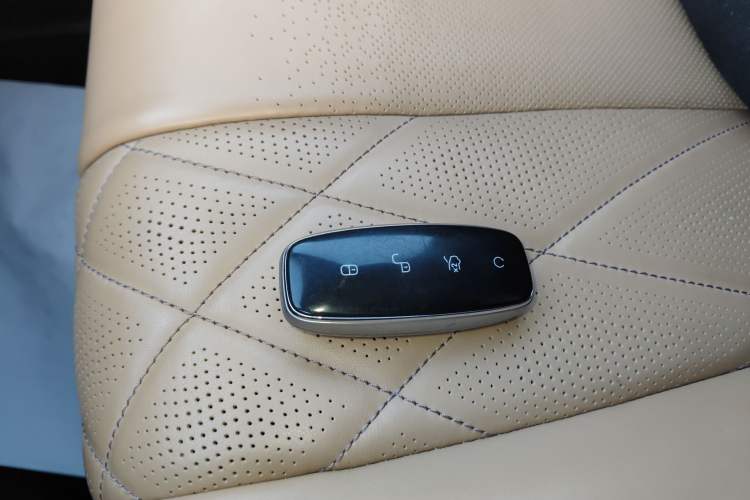 Used Denza D9 2022 EV 600 Four-Wheel Drive Flagship Model
