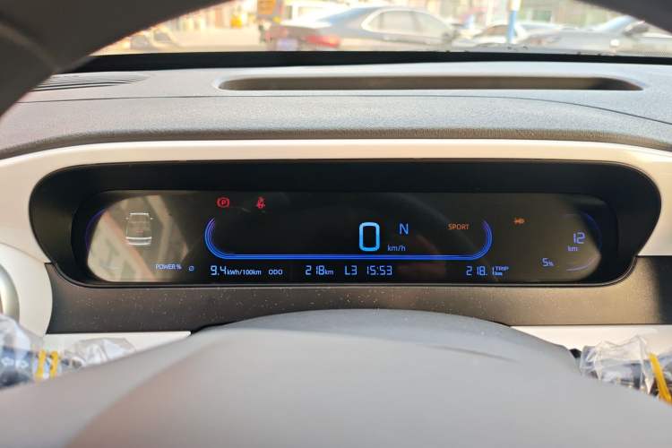 Used  Panda 2025 210 km – Yuanqi Bear
