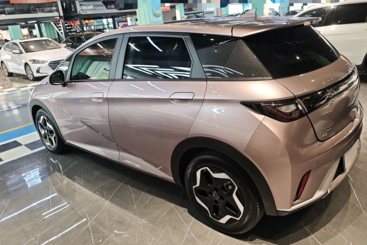 Used BYD Dolphin 2021 405 km Fashion Edition
