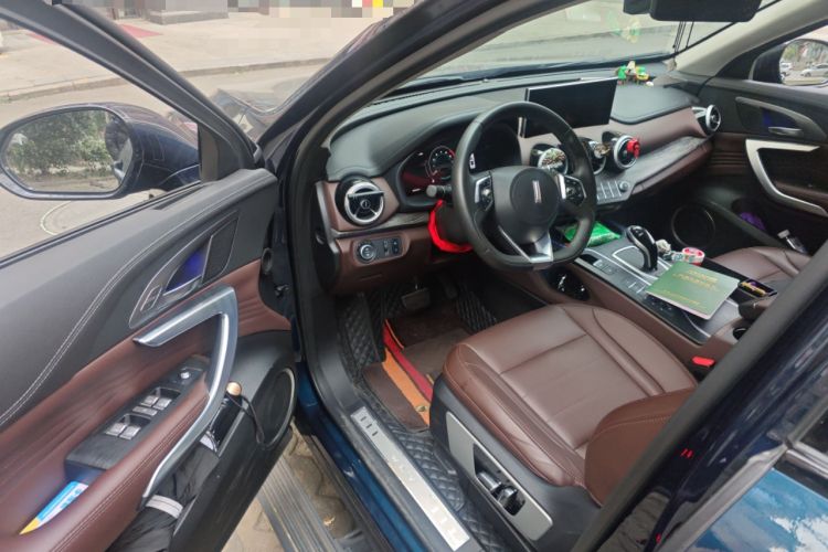 Used Wey VV7 2020 2.0T Ultra-Luxury Version