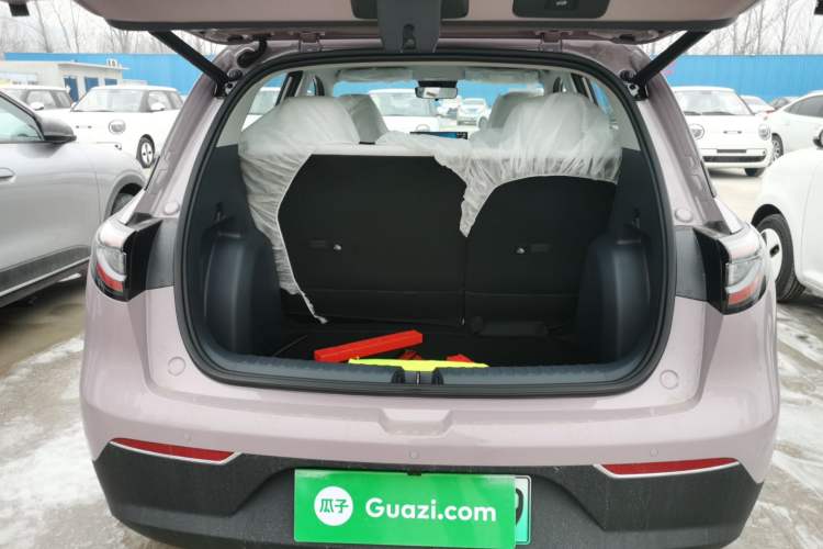 Used  Geome 2026 Model 310km Dream Edition