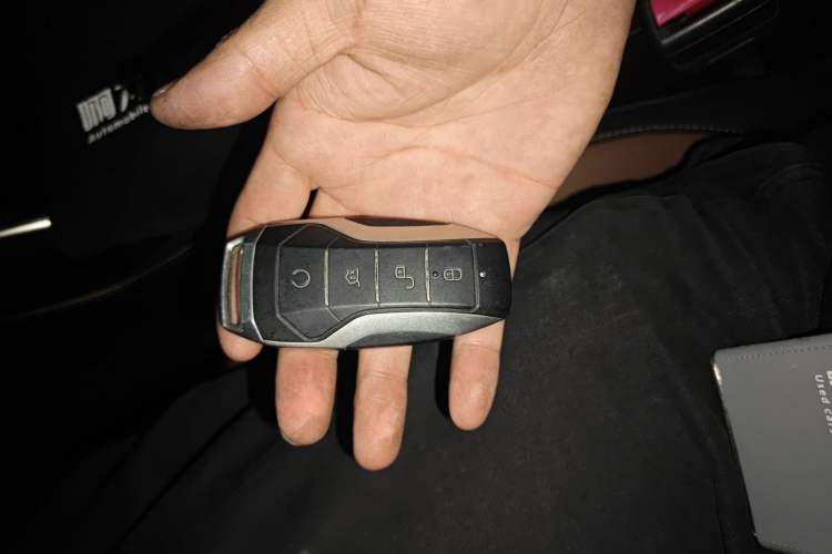 Used BYD Tang New Energy 2021 DM-i 112KM Prestige Model