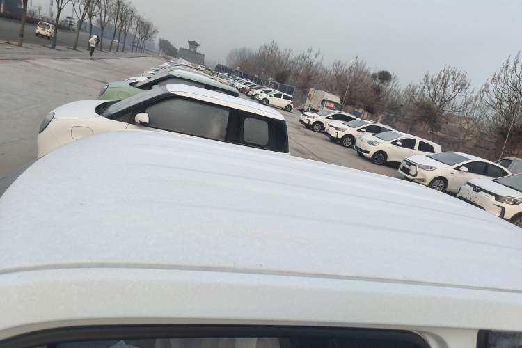 Used  Panda 2024 Panda Mini 200km Endurance Bear
