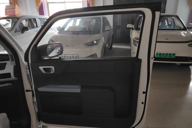 Used  Panda 2024 Panda Mini 200km Endurance Bear