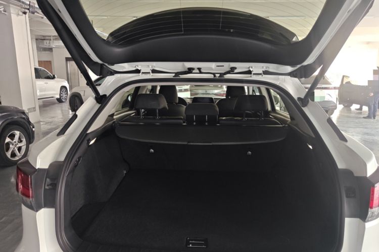 Used Lexus RX 2020 300 Two-Wheel Drive Elite Edition China VI Standard
