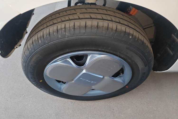 Used  Panda 2024 Panda Mini 200km Endurance Bear
