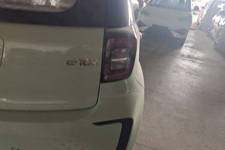 Used SOL E10X 2022 Flower Fairy Design Four-Leaf Clover