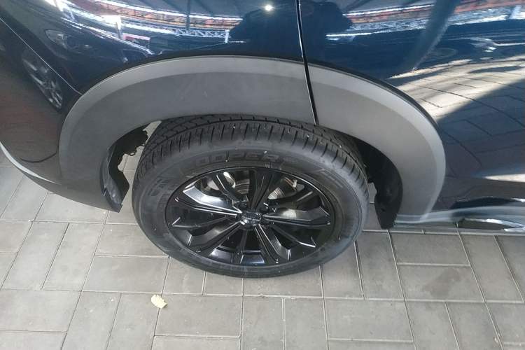 Used Haval H6S 2022 2.0T Two-Wheel Drive JoyRun Version
